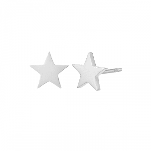 Örhängen Star silver